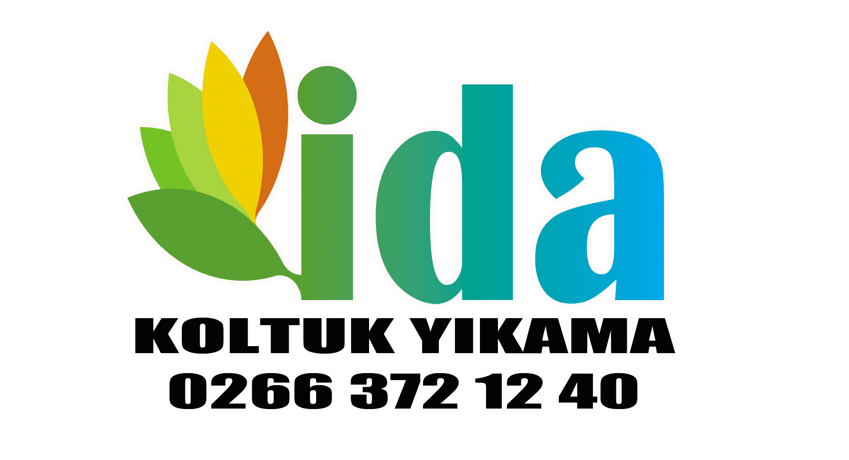 Burhaniye Koltuk Yıkama